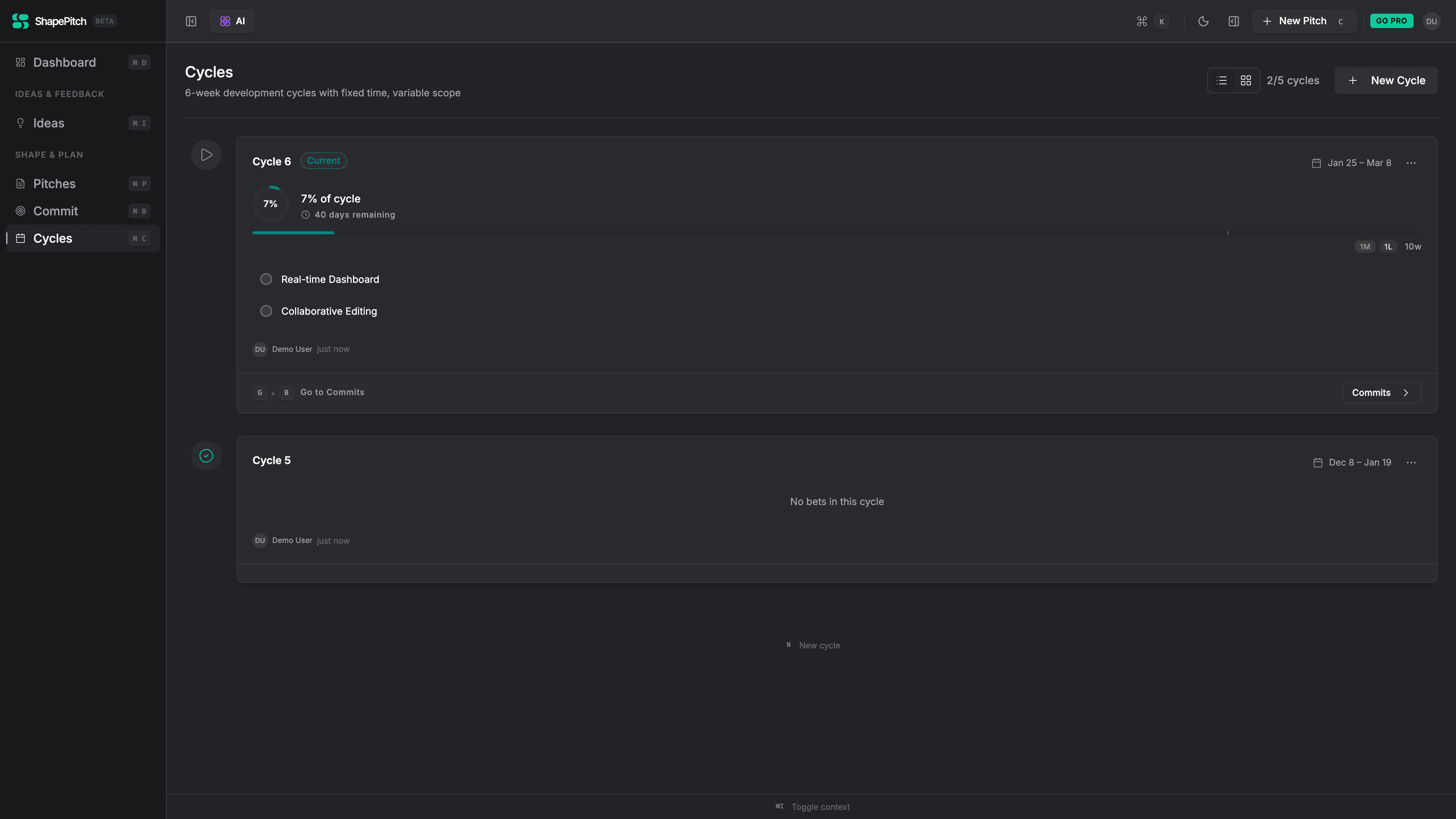 Focus cycle timeline with progress tracking preventing scope creep