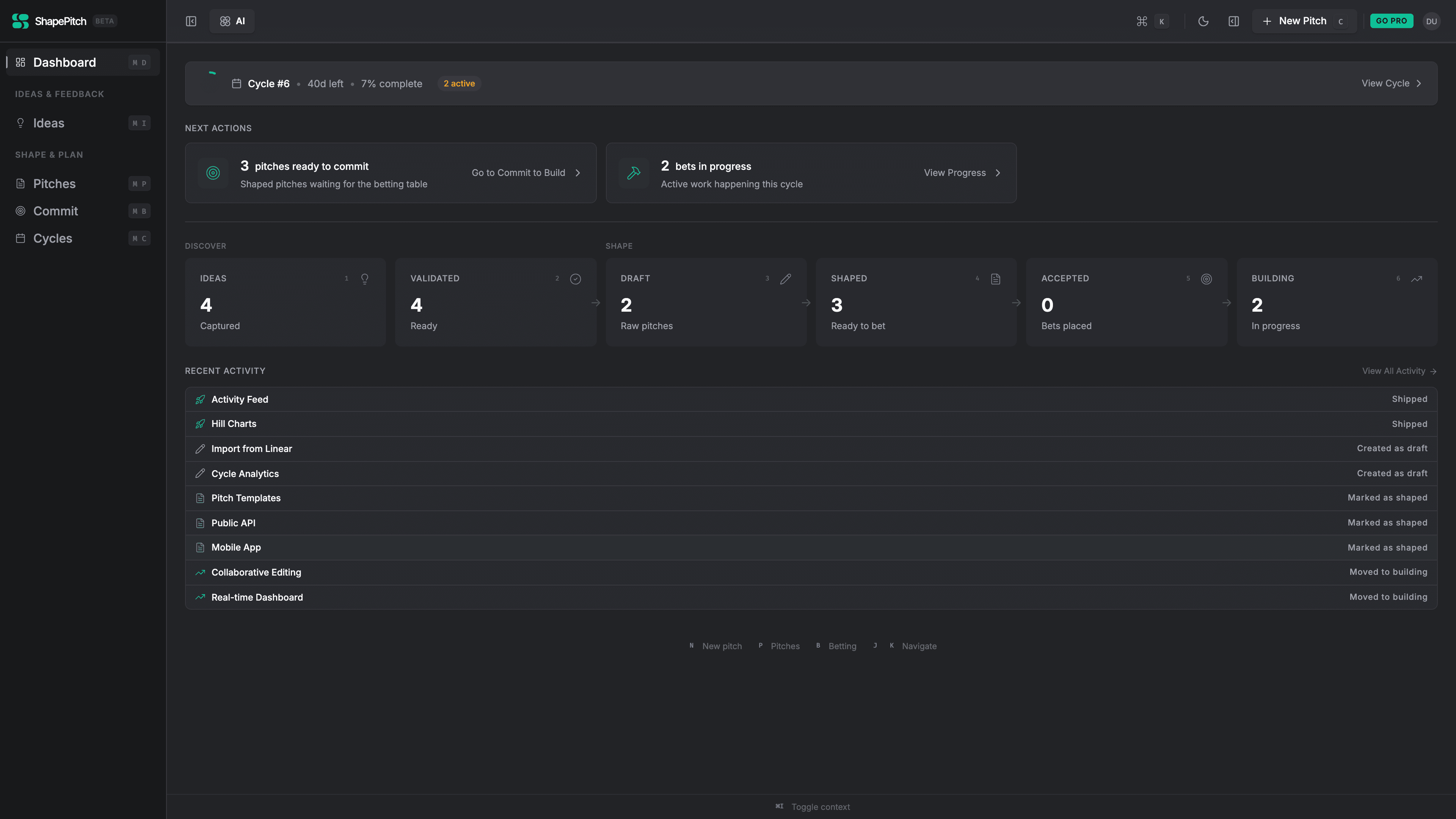 ShapePitch product strategy dashboard showing discovery stats, brief progress, and delivery overview