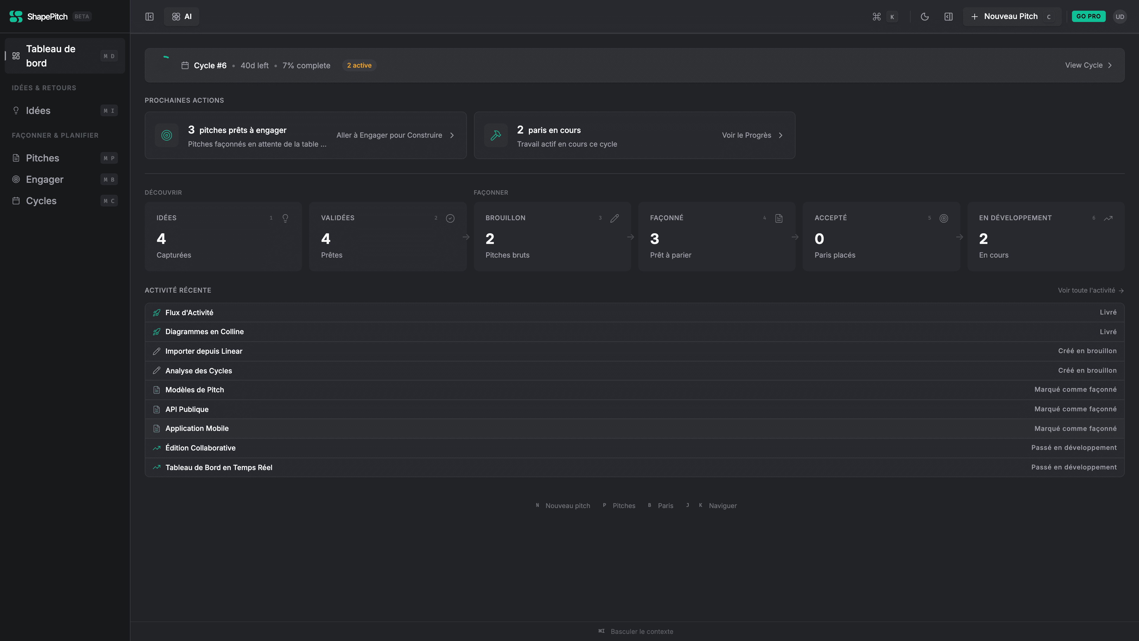 ShapePitch product strategy dashboard showing discovery stats, brief progress, and delivery overview